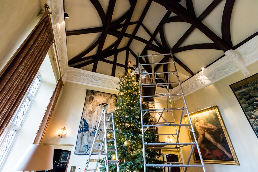 The Great Hall has a ceiling height of 9 metres, and this tree is probably the tallest we have had at around 7.5 metres