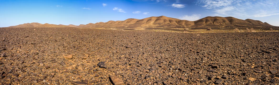 Desert Hamadas and Steppes