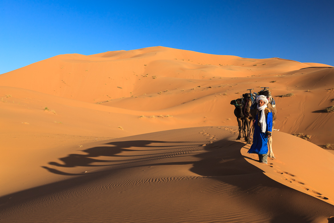 Desert Sand Dunes