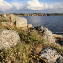 In between the rocks a little grass and small floweres are shooting up.