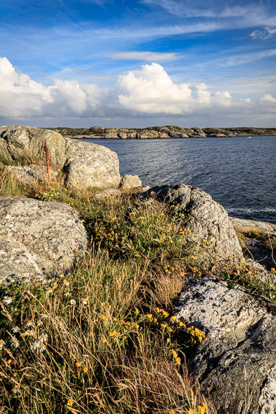 In between the rocks a little grass and small floweres are shooting up.