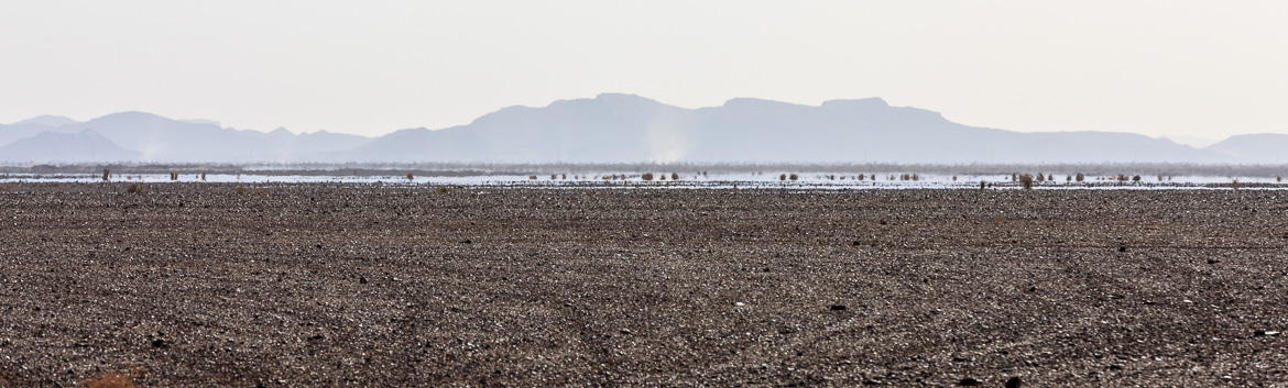 Desert Hamadas and Steppes