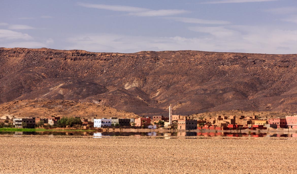 Desert Hamadas and Steppes