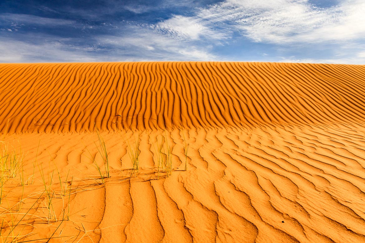 Deseert Sand Dunes