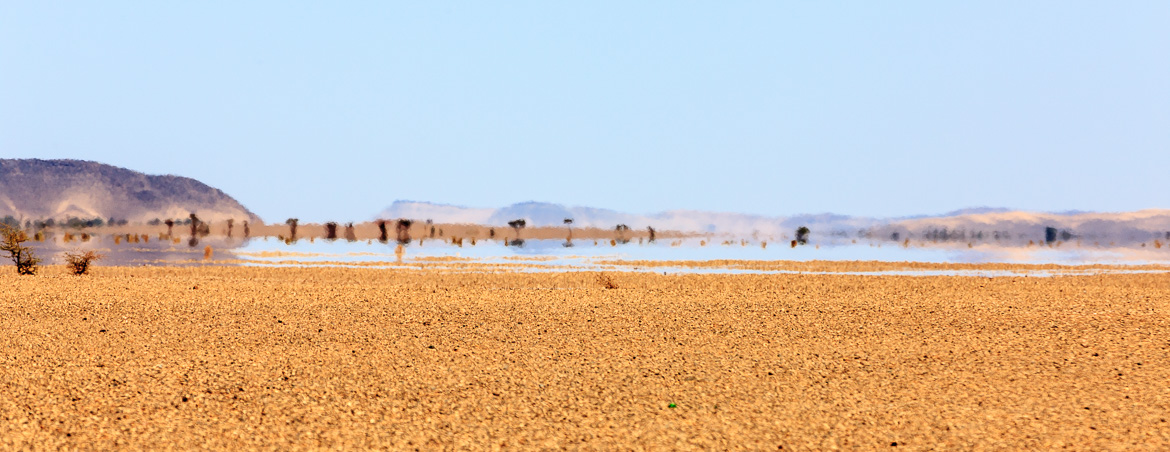 Desert Hamadas and Steppes