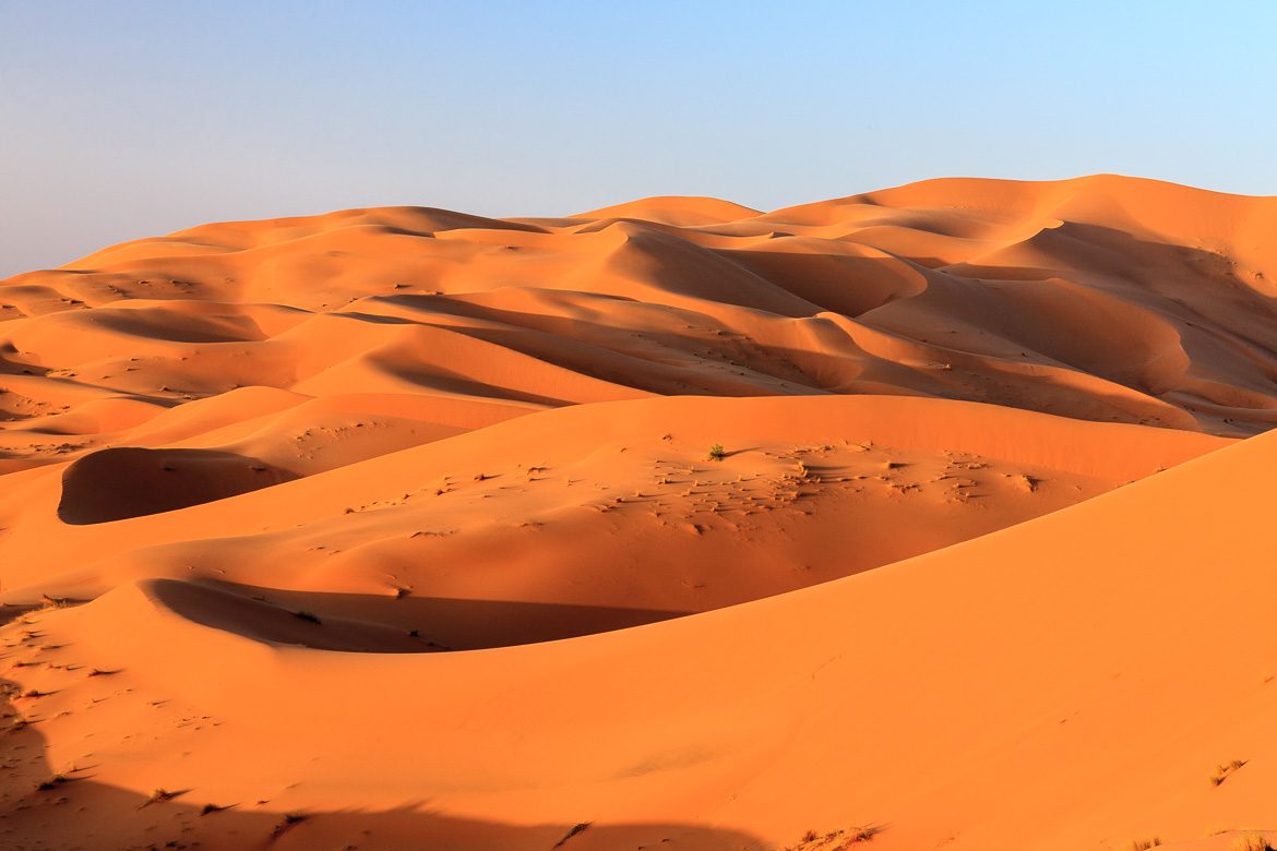 Desert Sand Dunes