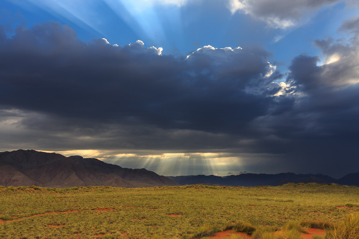 Desert Hamadas and Steppes