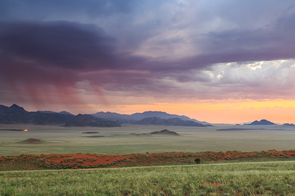 Desert Hamadas and Steppes