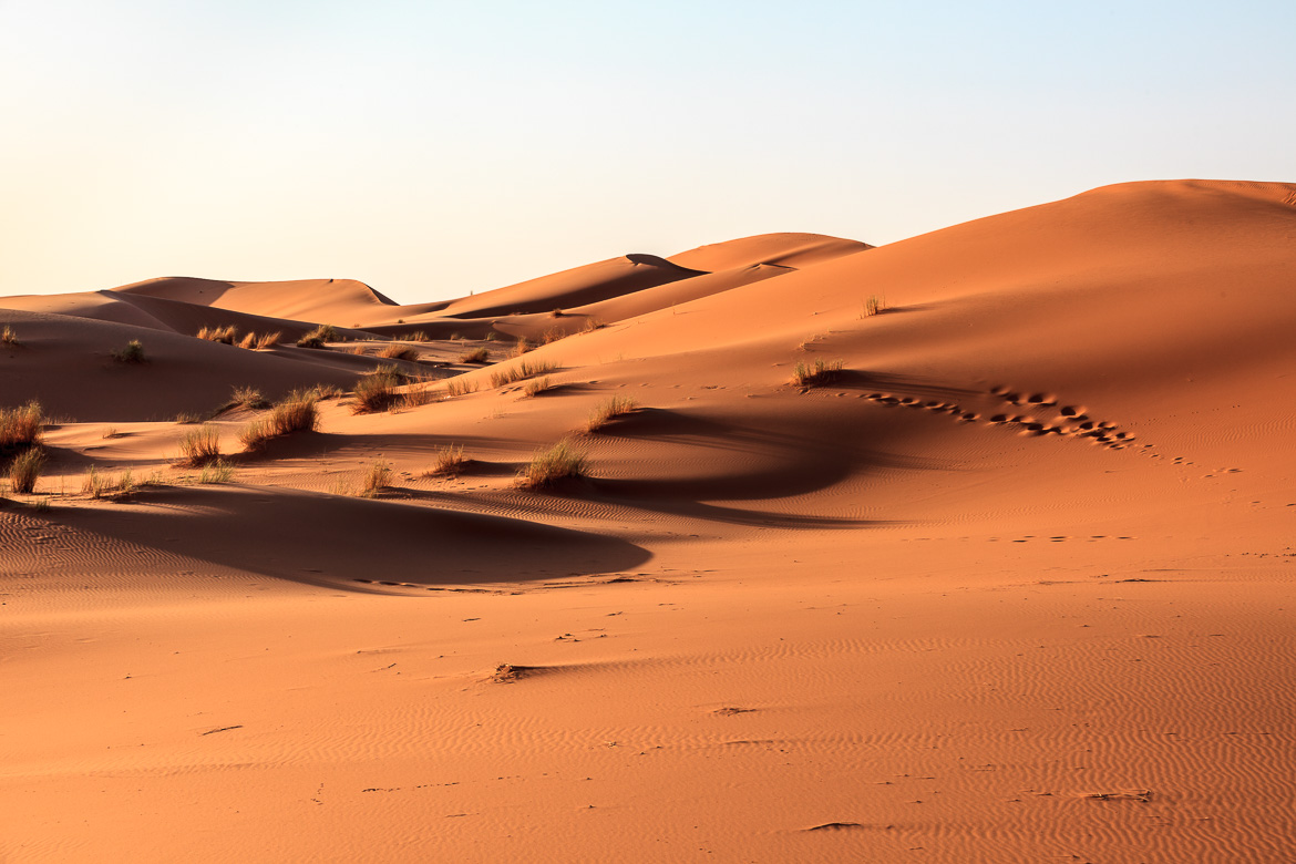 Desert Sand Dunes