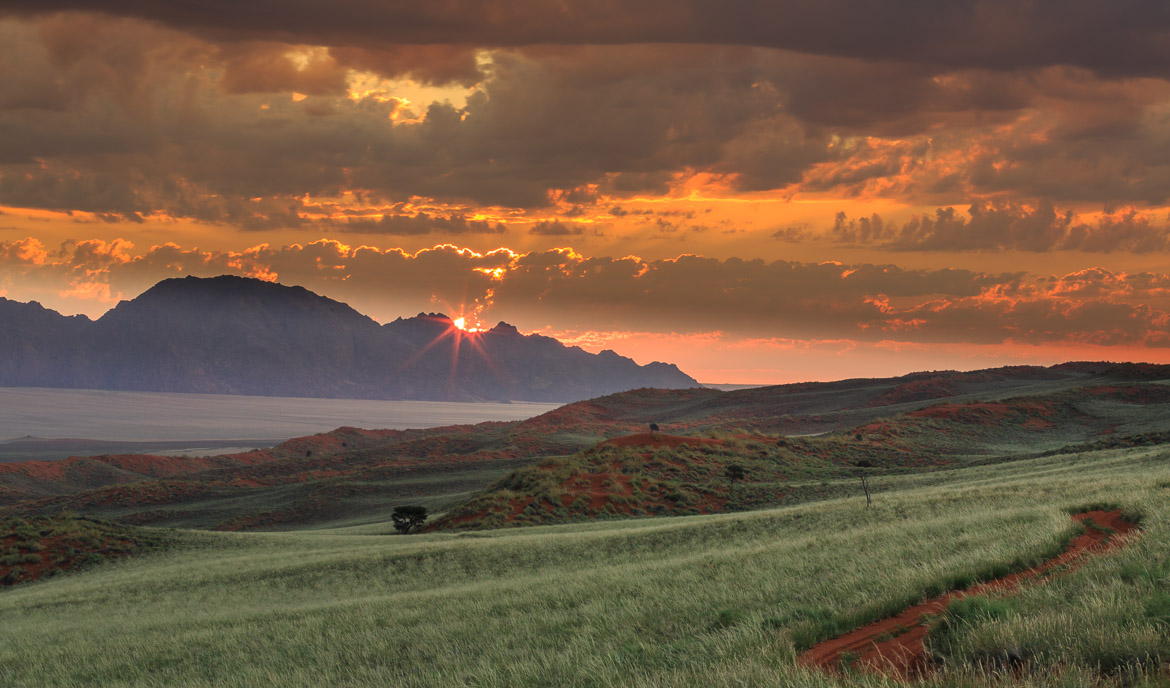 Desert Hamadas and Steppes