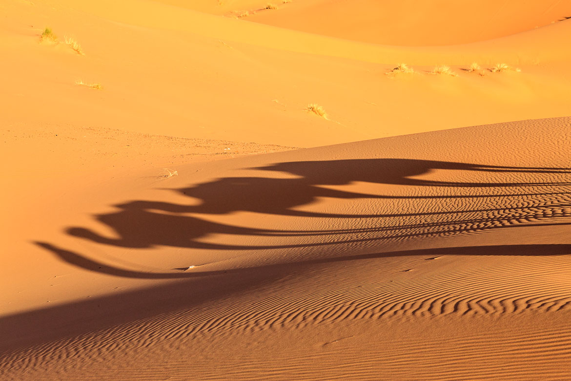 Desert Sand Dunes