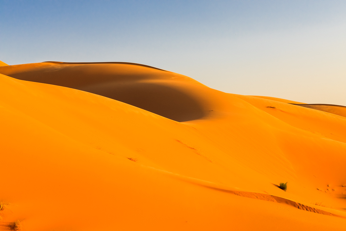 Desert Sand Dunes