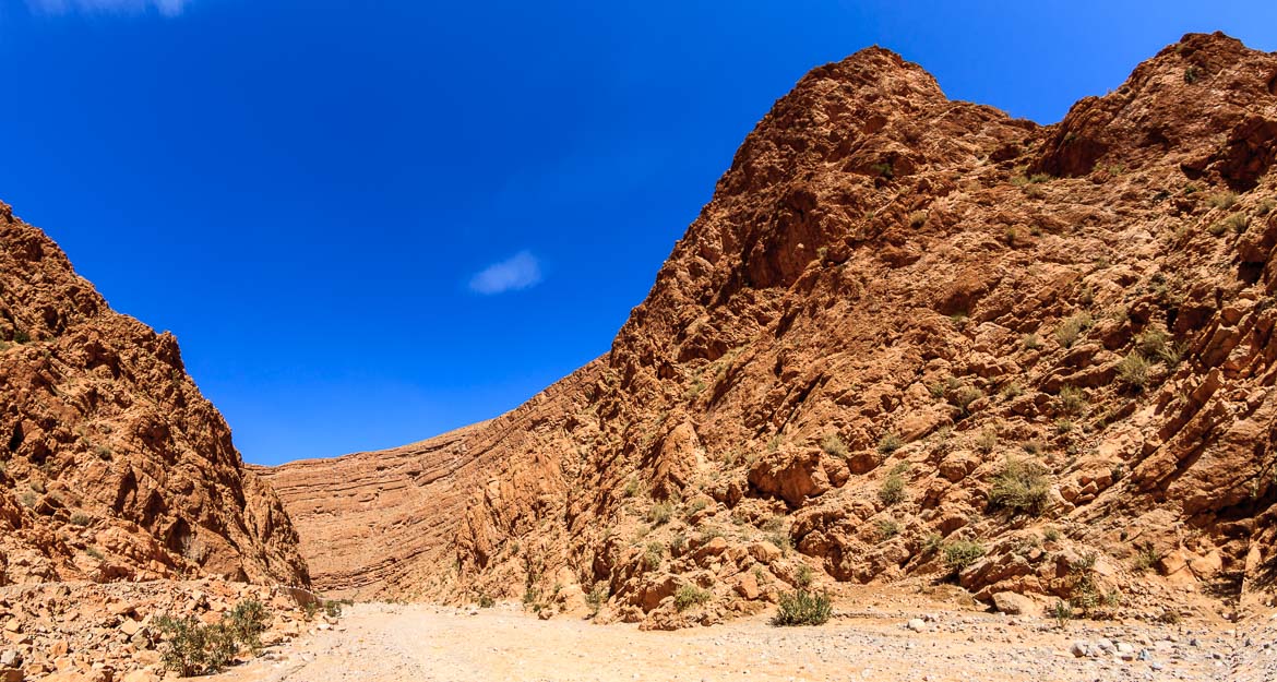 Desert Canyons