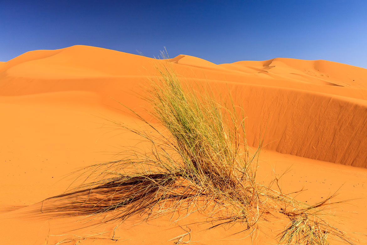 Desert Sand Dunes