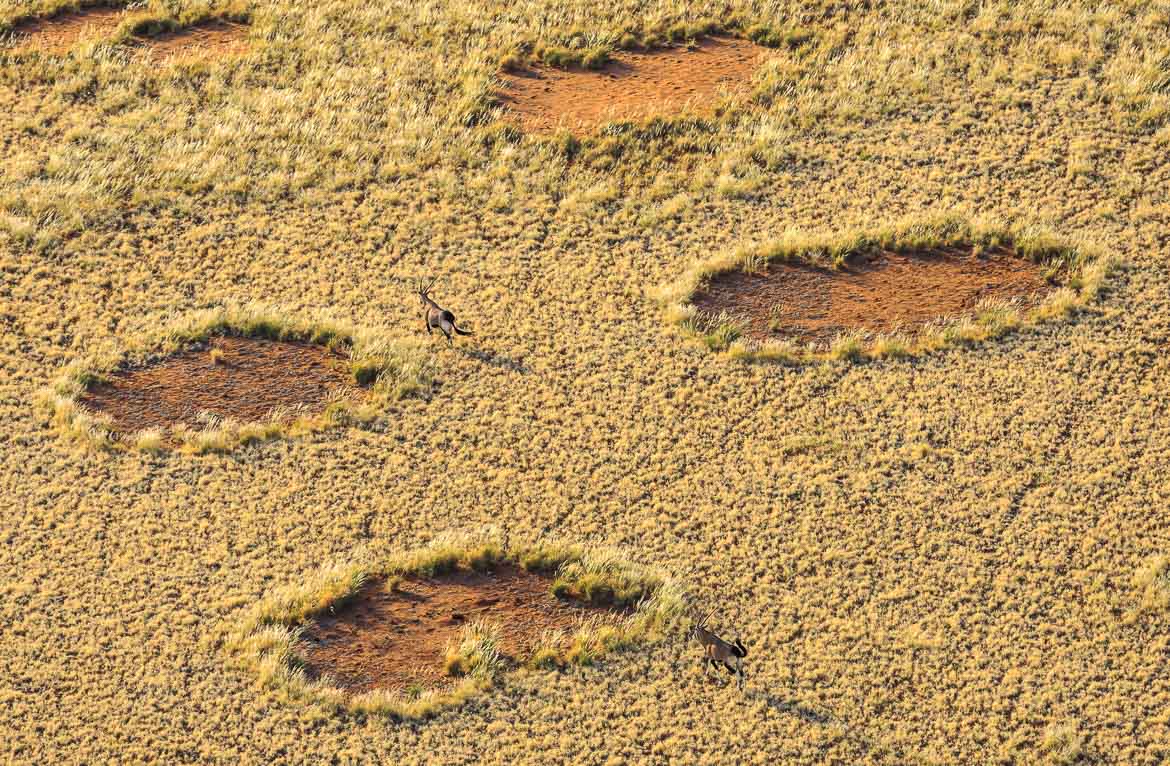 Desert Hamadas and Steppes