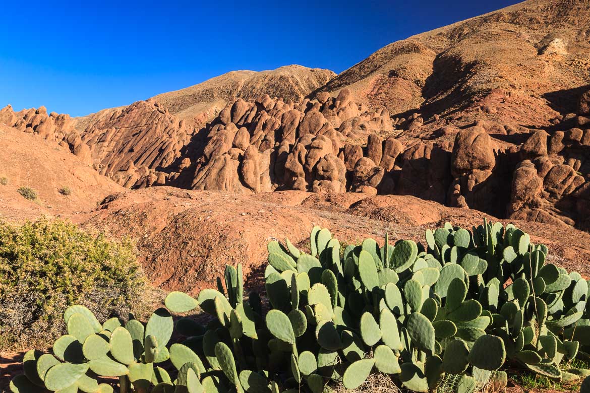 Desert Mountains