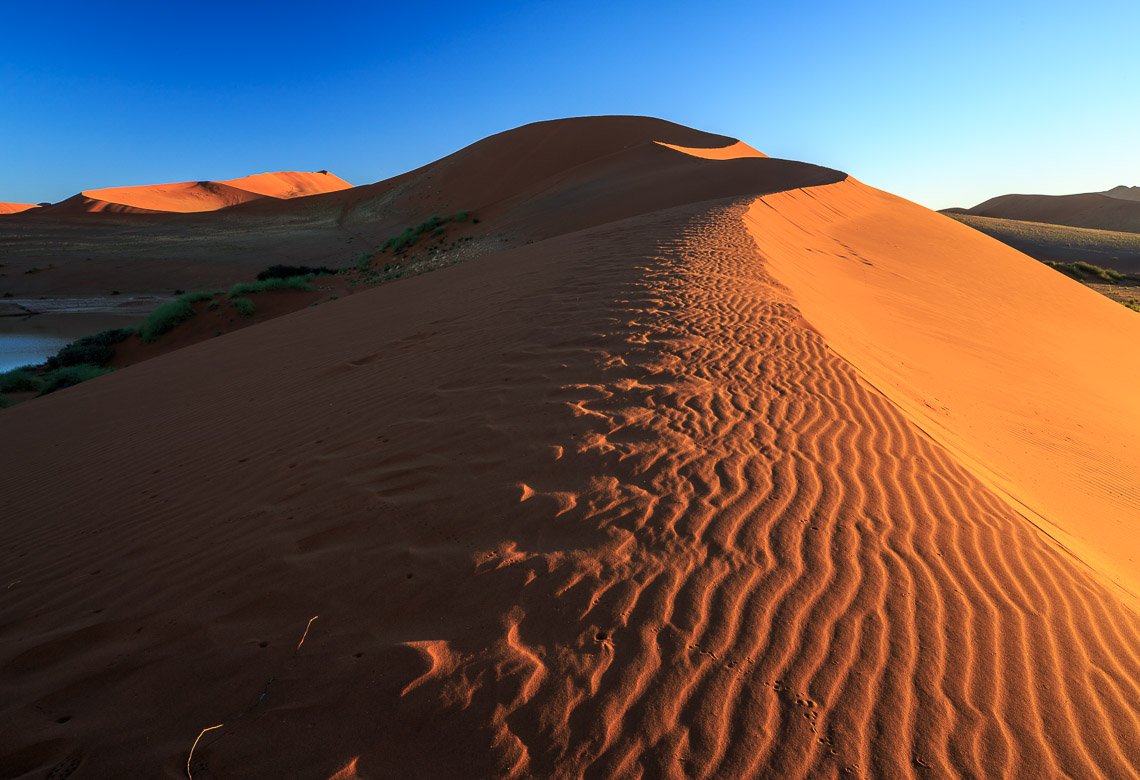 Desert Sand Dunes