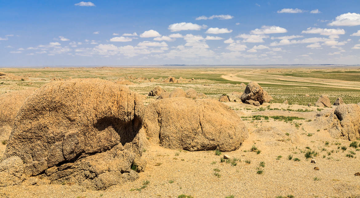 Desert Hamadas and Steppes