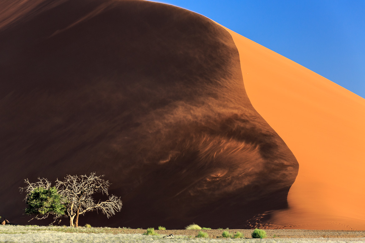 Deseert Sand Dunes