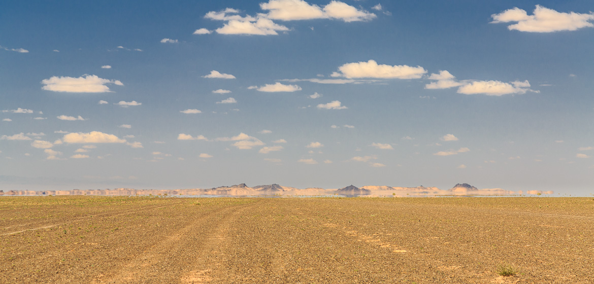 Desert Hamadas and Steppes