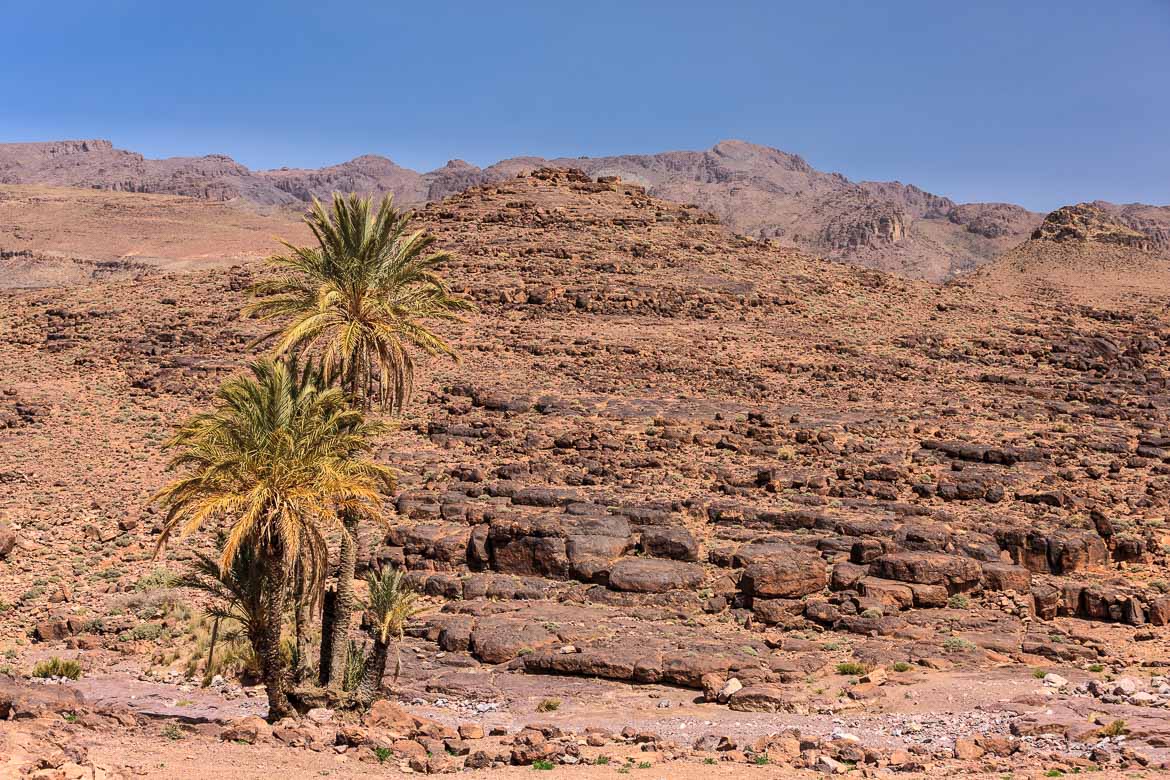 Desert Mountains