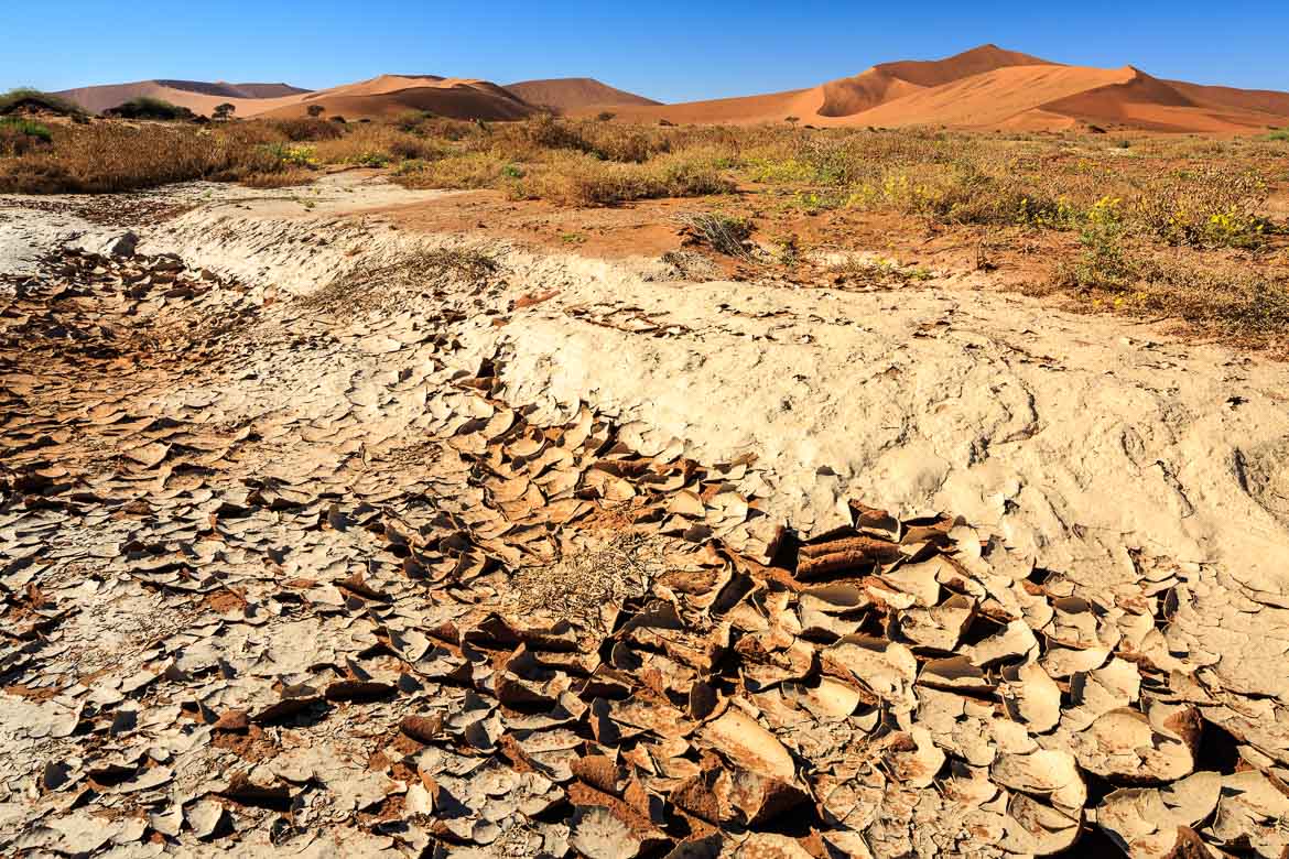 Desert Hamadas and Steppes