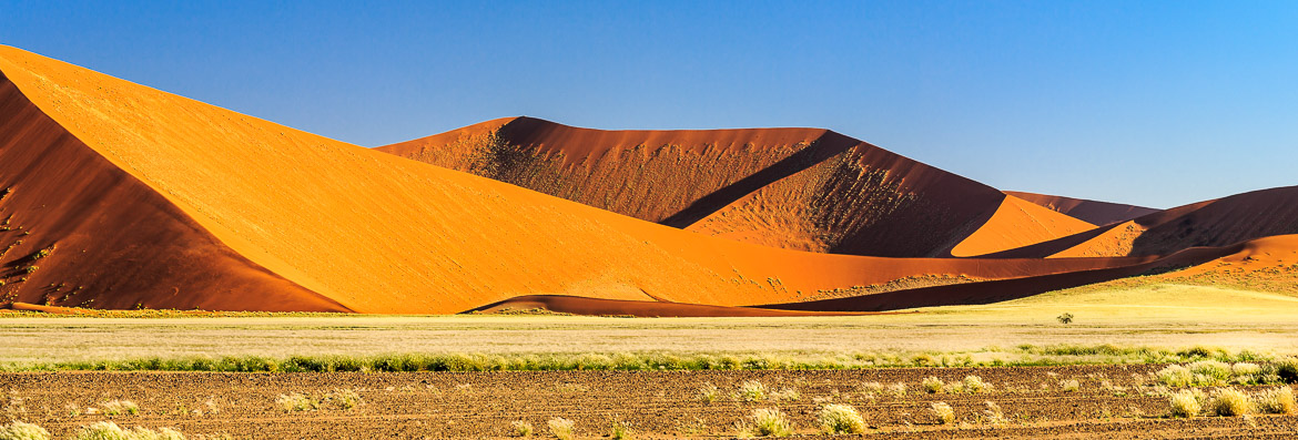 Desert Sand Dunes