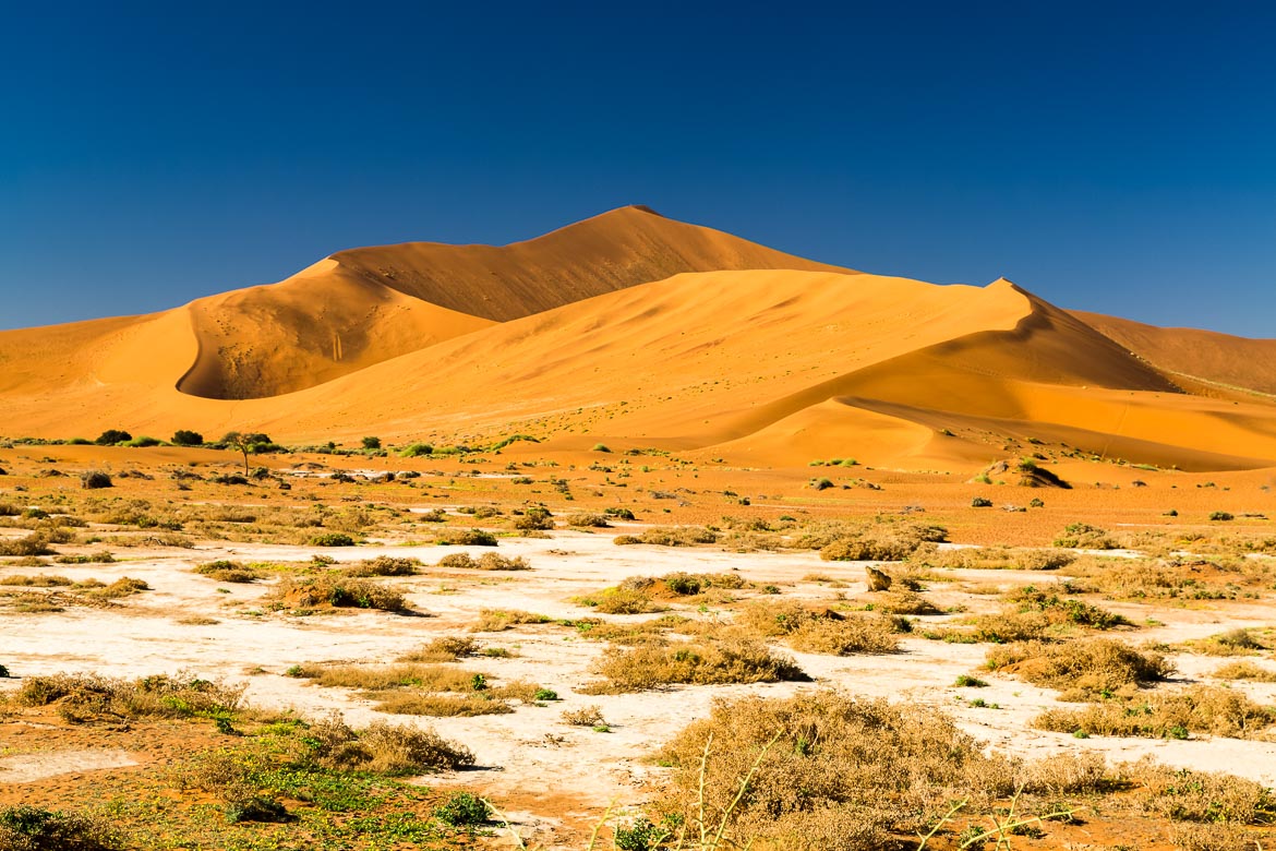 Desert Sand Dunes