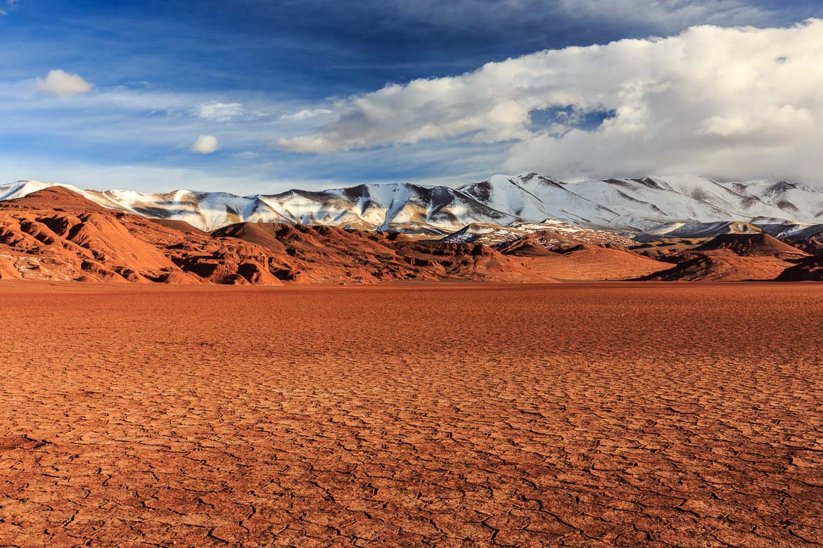 Desert Hamadas and Steppes