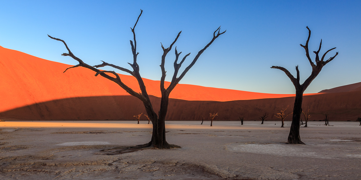 Desert Sand Dunes