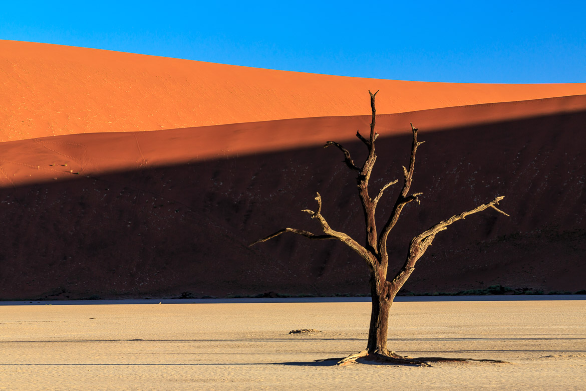 Desert Sand Dunes