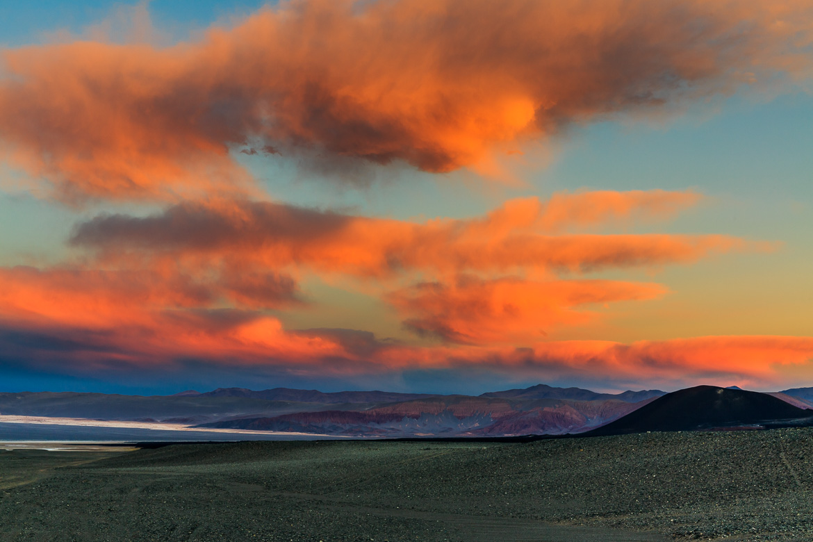 Desert Hamadas and Steppes