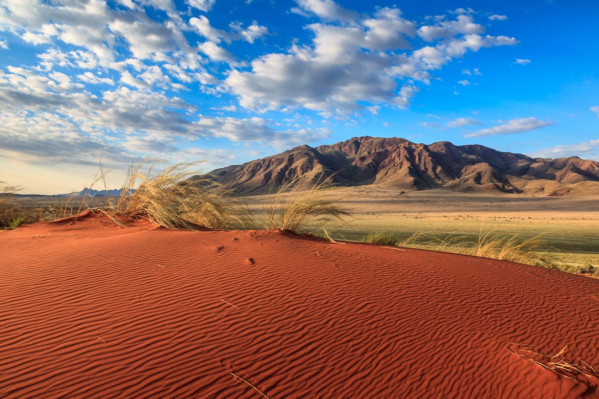 Desert Sand Dunes