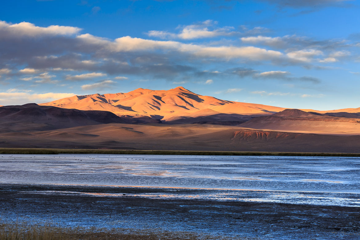 Desert Hamadas and Steppes