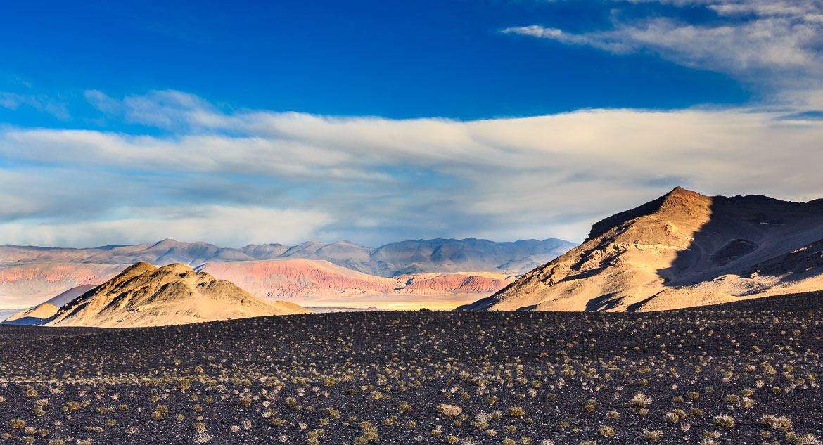 Desert Hamadas and Steppes