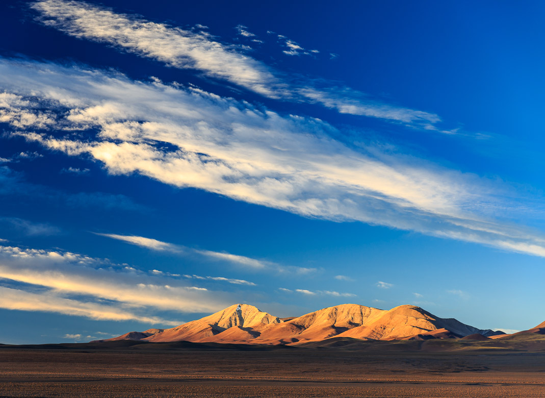 Desert Hamadas and Steppes