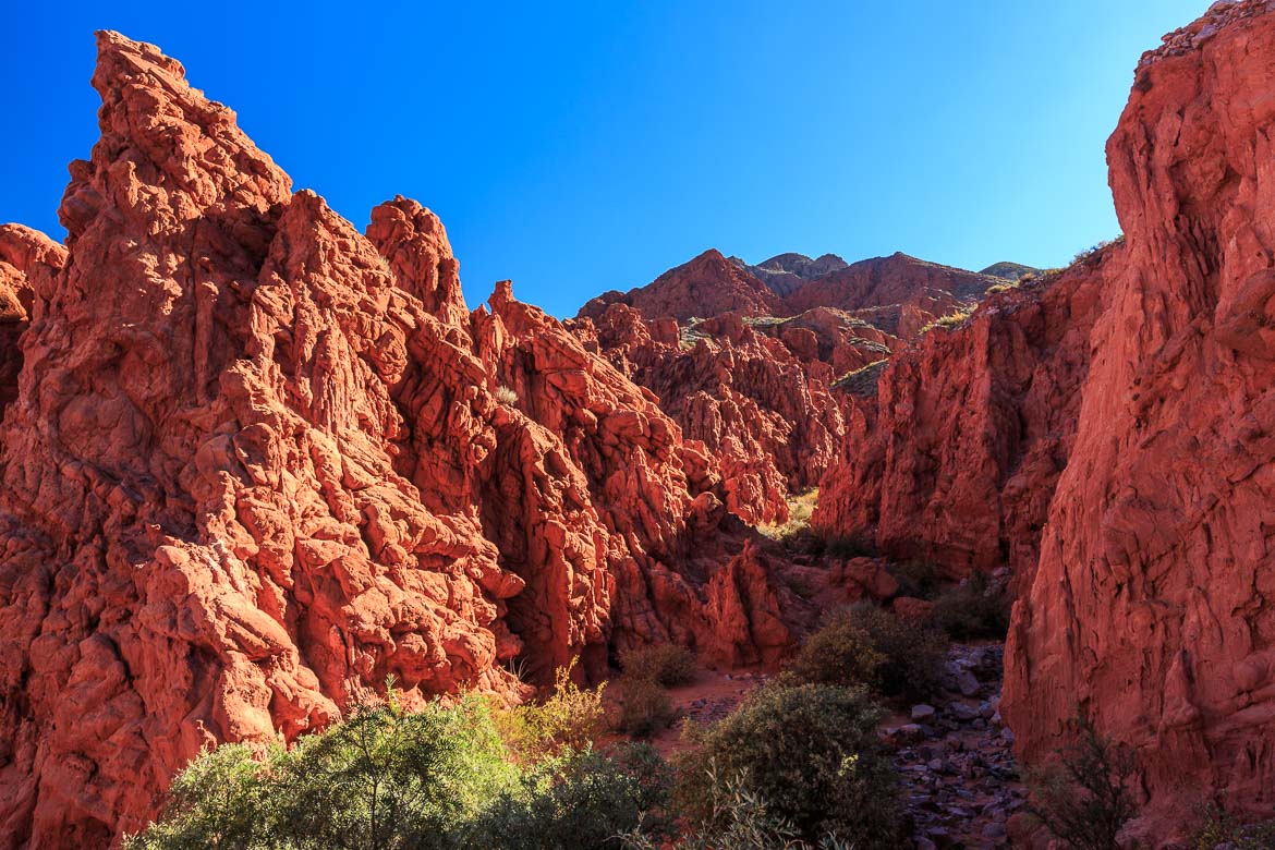 Desert Mountains