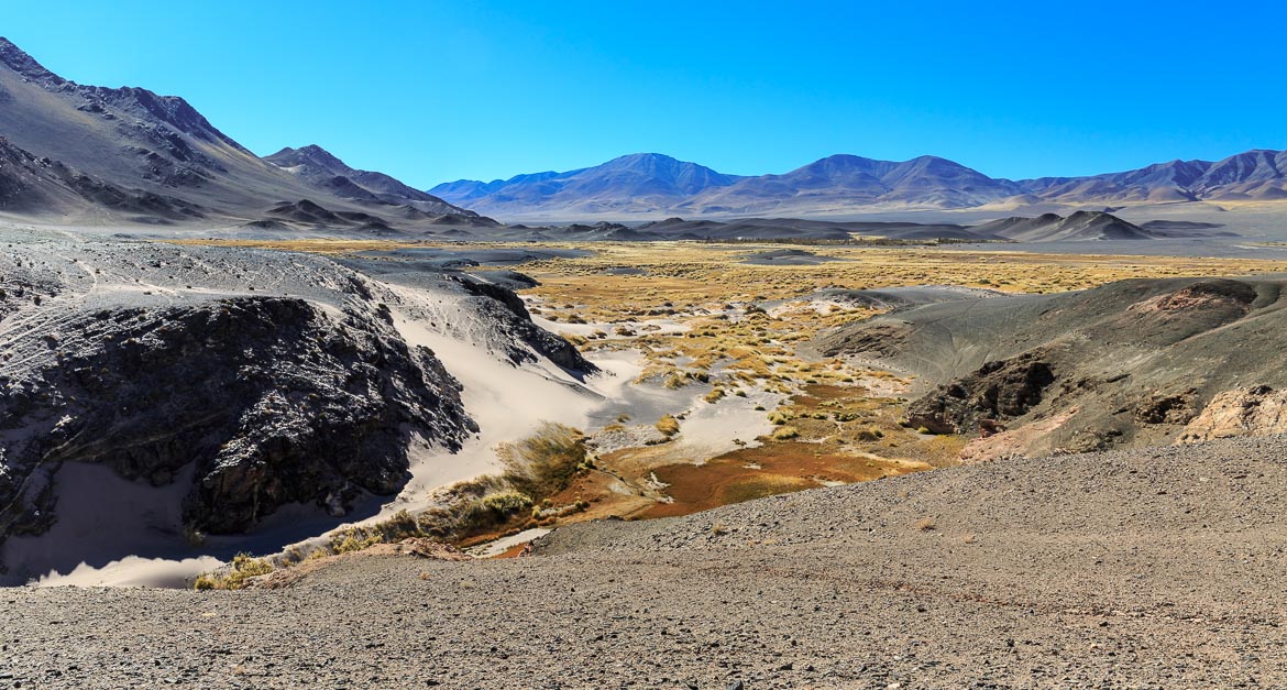 Desert Hamadas and Steppes