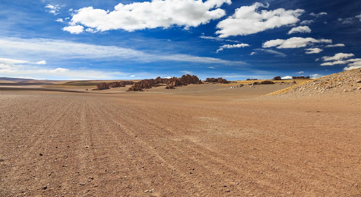 Desert Hamadas and Steppes