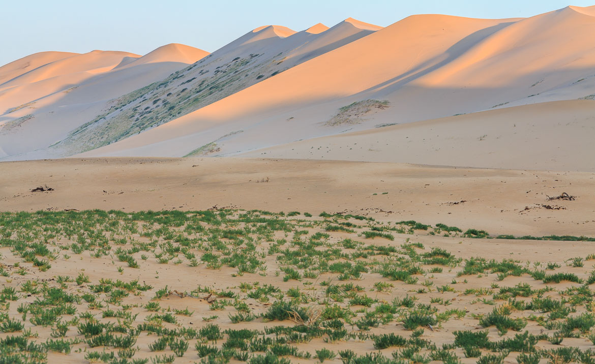 Deseert Sand Dunes