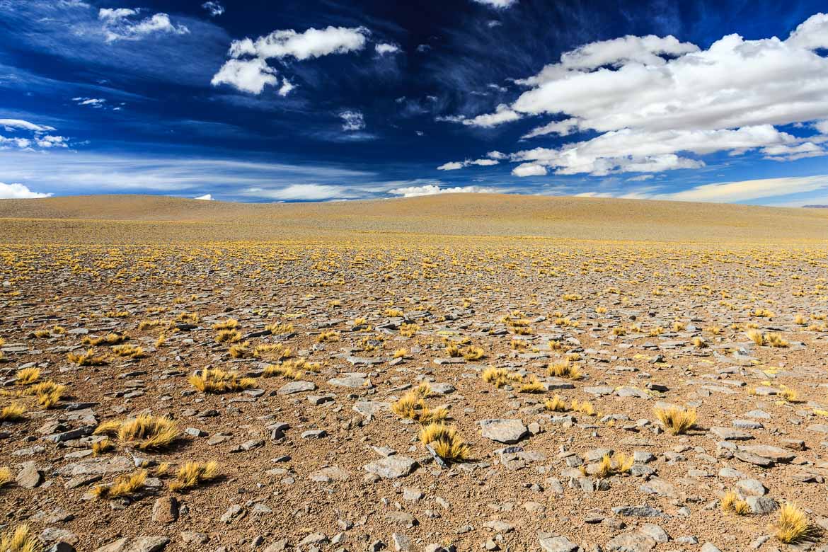 Desert Hamadas and Steppes