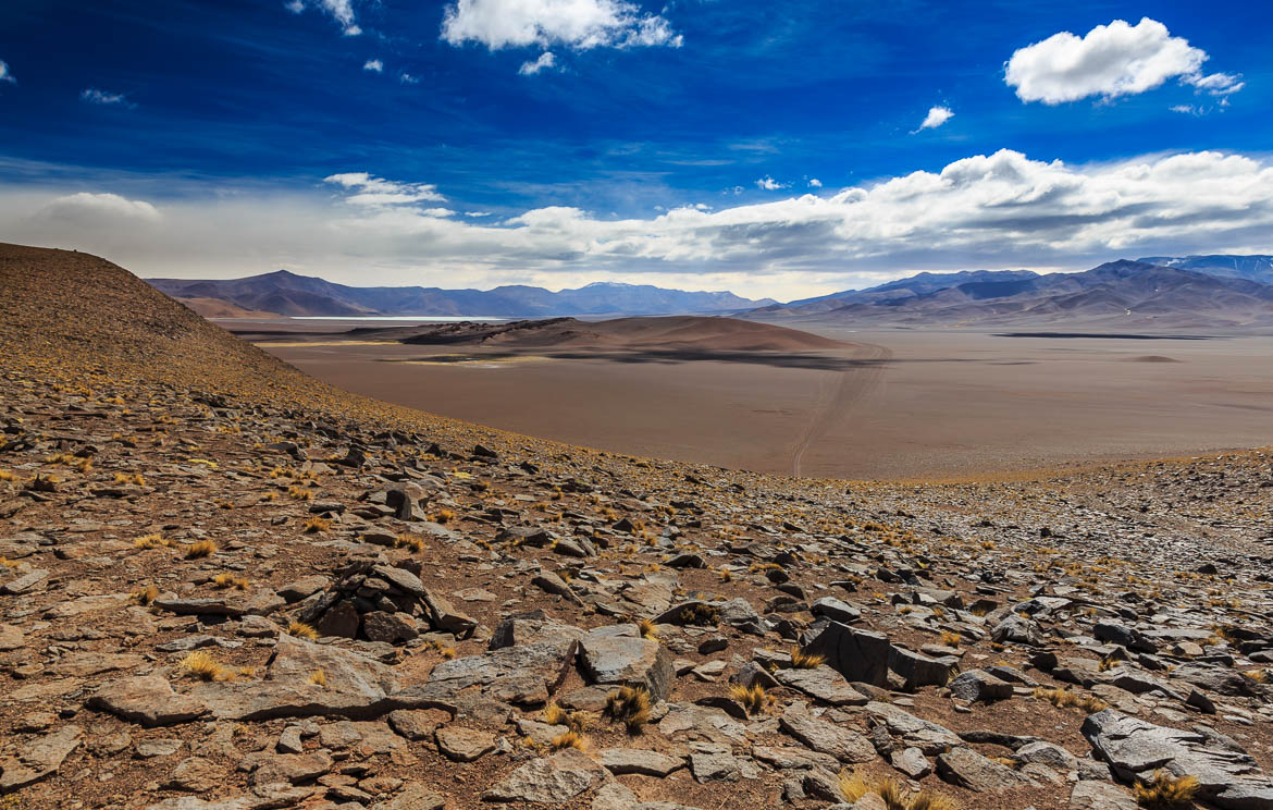 Desert Hamadas and Steppes