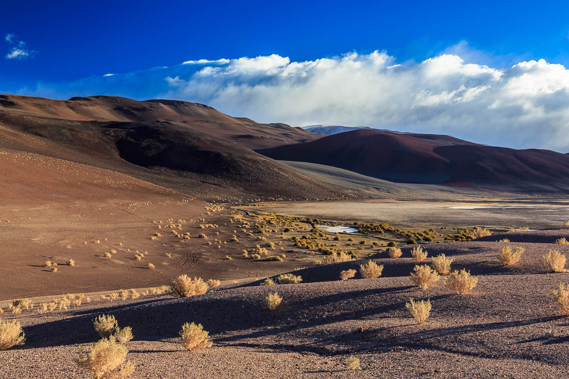 Desert Hamadas and Steppes