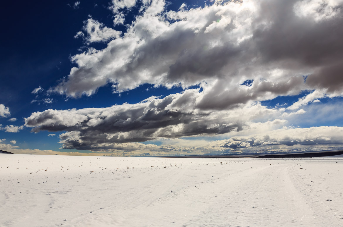 Desert Hamadas and Steppes