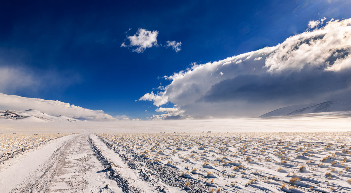 Desert Hamadas and Steppes