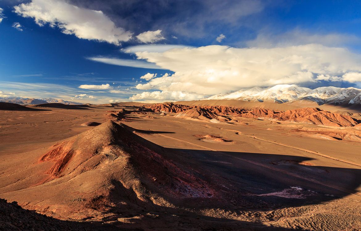 Desert Hamadas and Steppes