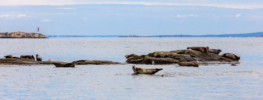 Swedish West Coast