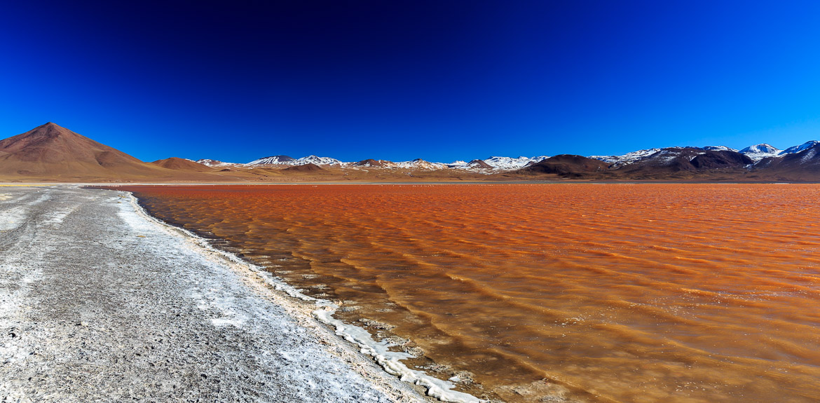 Desert Hamadas and Steppes