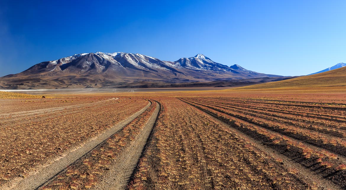 Desert Hamadas and Steppes