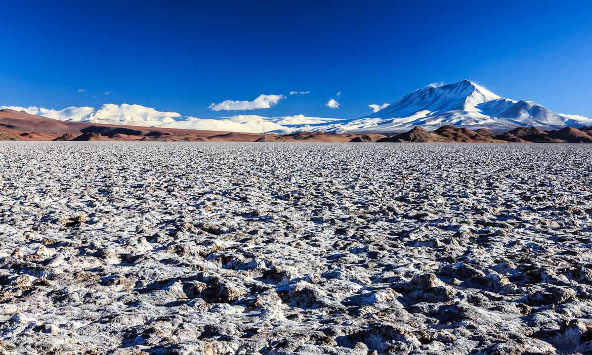 Desert Hamadas and Steppes